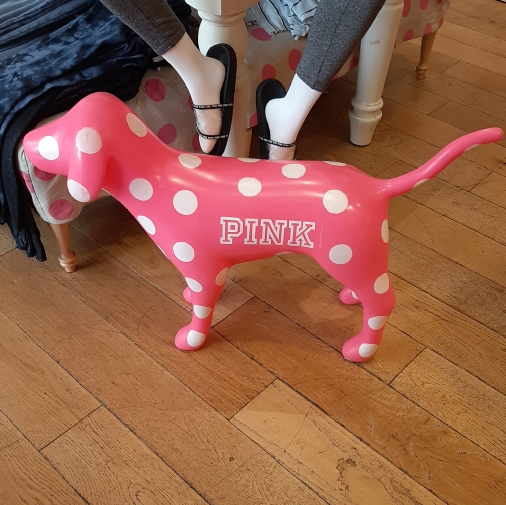 Vs pink display dog ISO